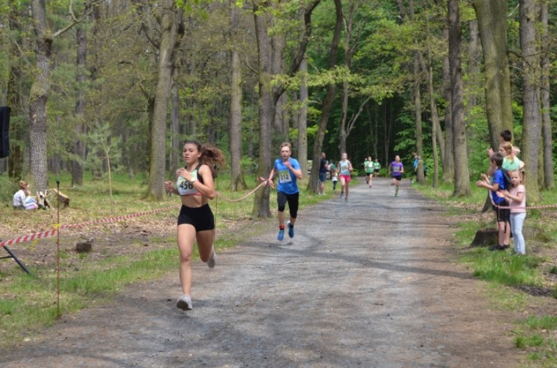 Fotografie DSC_0049.JPG v galerii Běh za Újezdskou Sovou - 2. část