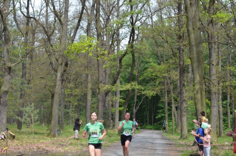 Fotografie DSC_0052.JPG v galerii Běh za Újezdskou Sovou - 2. část