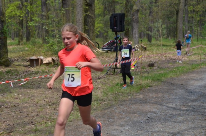 Fotografie DSC_0060.JPG v galerii Běh za Újezdskou Sovou - 2. část