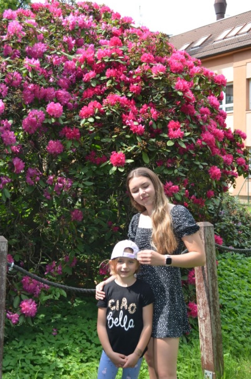 Fotografie DSC_0317.JPG v galerii Běh za Újezdskou Sovou - 2. část