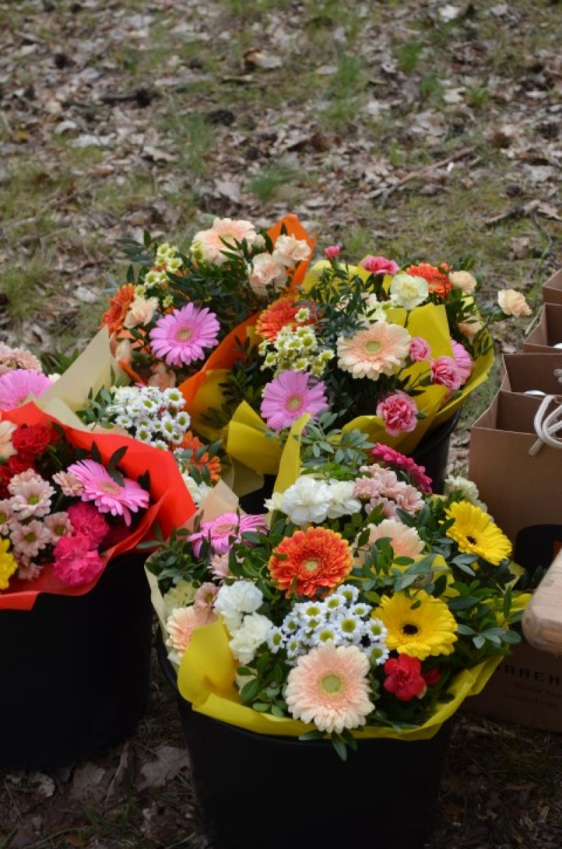 Fotografie DSC_0512.JPG v galerii Běh za Újezdskou Sovou - 2. část