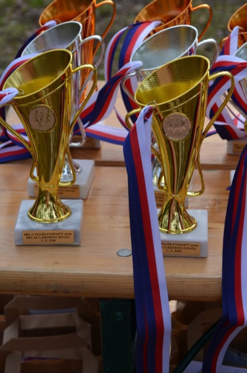 Fotografie DSC_0513.JPG v galerii Běh za Újezdskou Sovou - 2. část