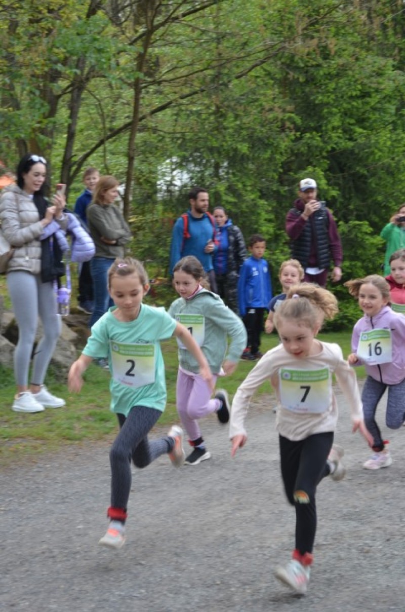 Fotografie DSC_0587.JPG v galerii Běh za Újezdskou Sovou - 2. část