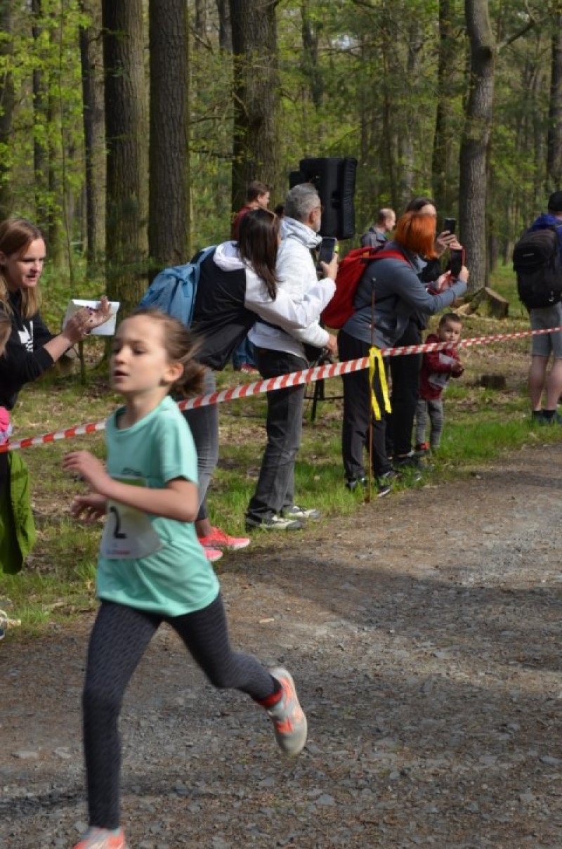 Fotografie DSC_0601.JPG v galerii Běh za Újezdskou Sovou - 2. část