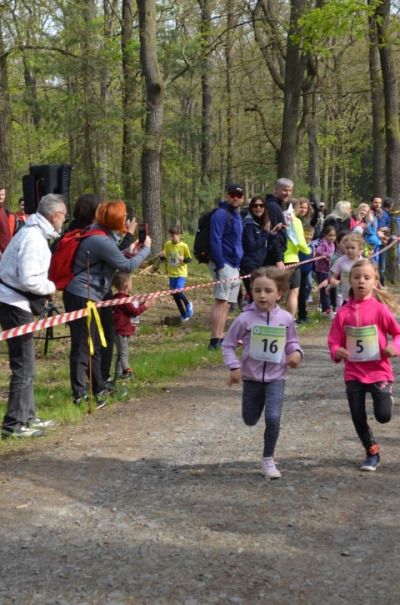 Fotografie DSC_0604.JPG v galerii Běh za Újezdskou Sovou - 2. část