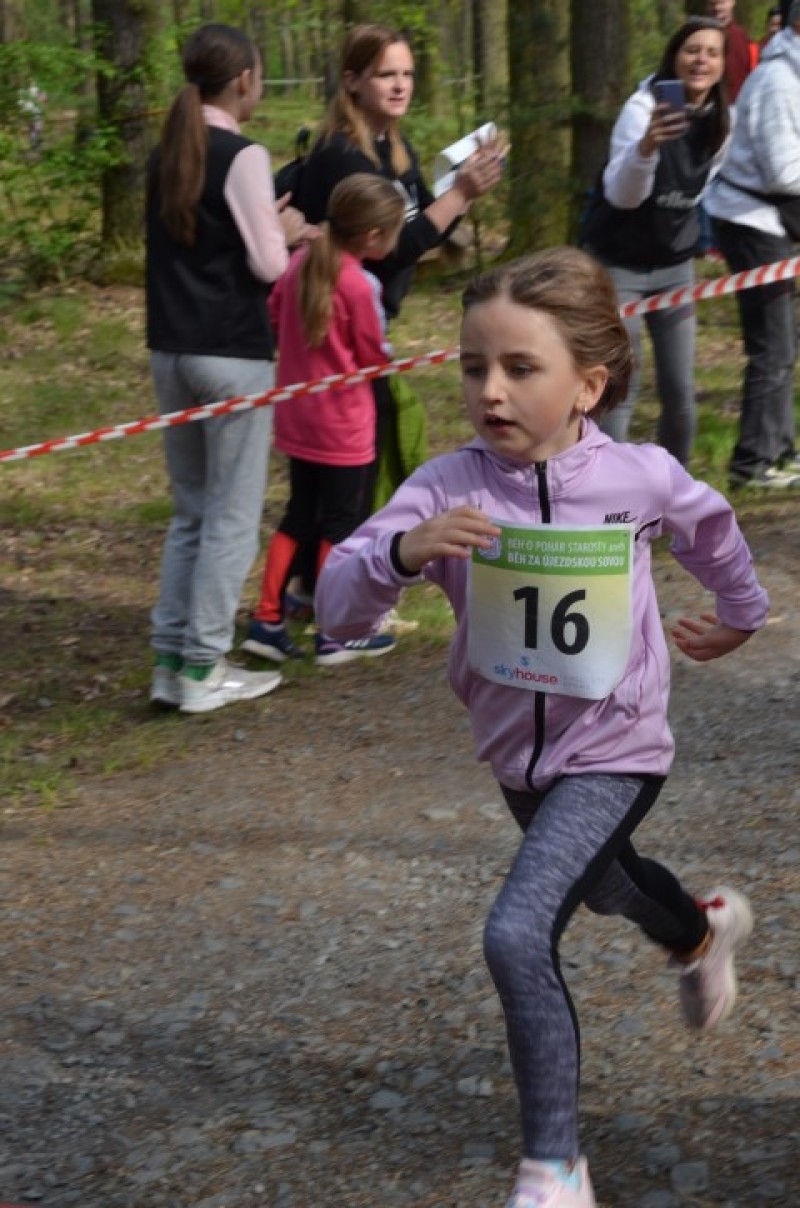 Fotografie DSC_0605.JPG v galerii Běh za Újezdskou Sovou - 2. část