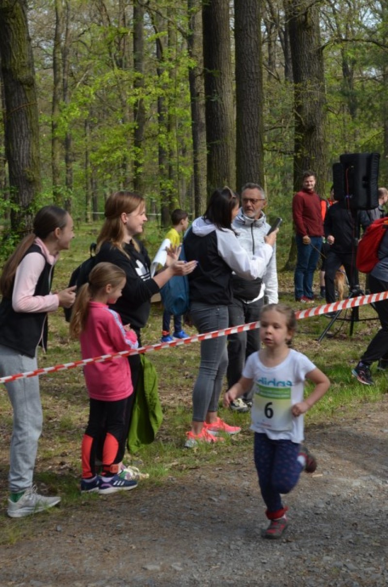 Fotografie DSC_0607.JPG v galerii Běh za Újezdskou Sovou - 2. část