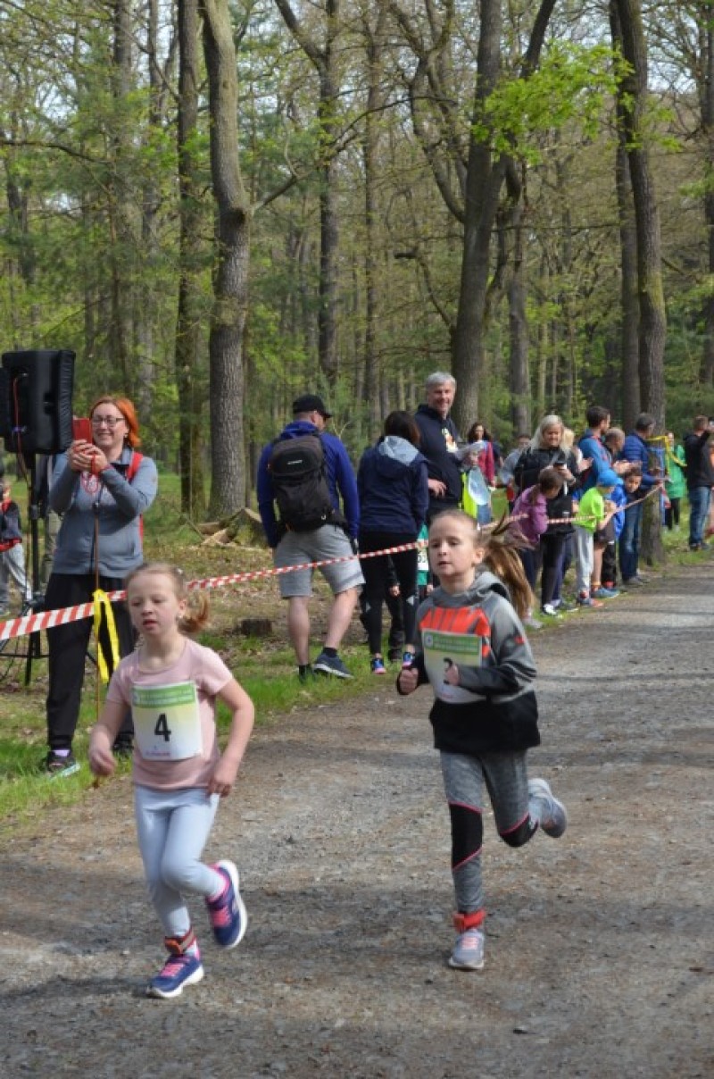 Fotografie DSC_0613.JPG v galerii Běh za Újezdskou Sovou - 2. část