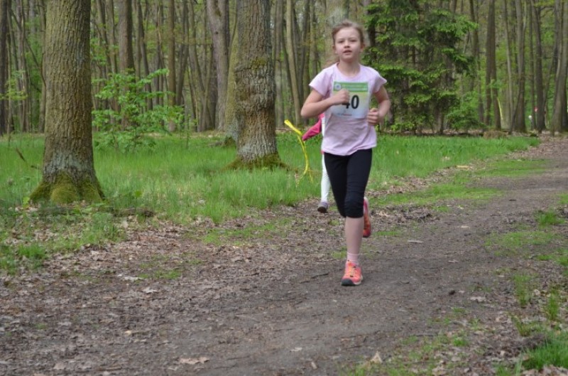 Fotografie DSC_0643.JPG v galerii Běh za Újezdskou Sovou - 2. část