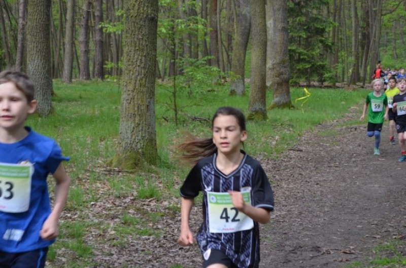 Fotografie DSC_0647.JPG v galerii Běh za Újezdskou Sovou - 2. část