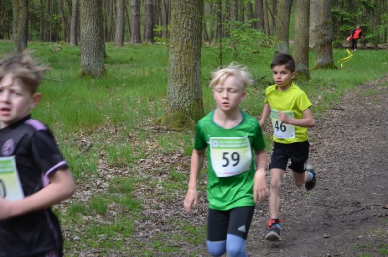 Fotografie DSC_0648.JPG v galerii Běh za Újezdskou Sovou - 2. část