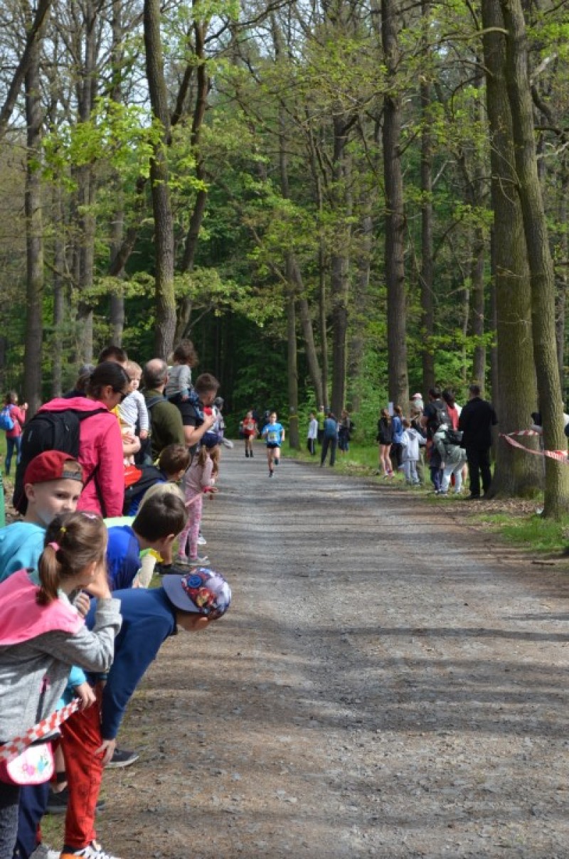 Fotografie DSC_0663.JPG v galerii Běh za Újezdskou Sovou - 2. část