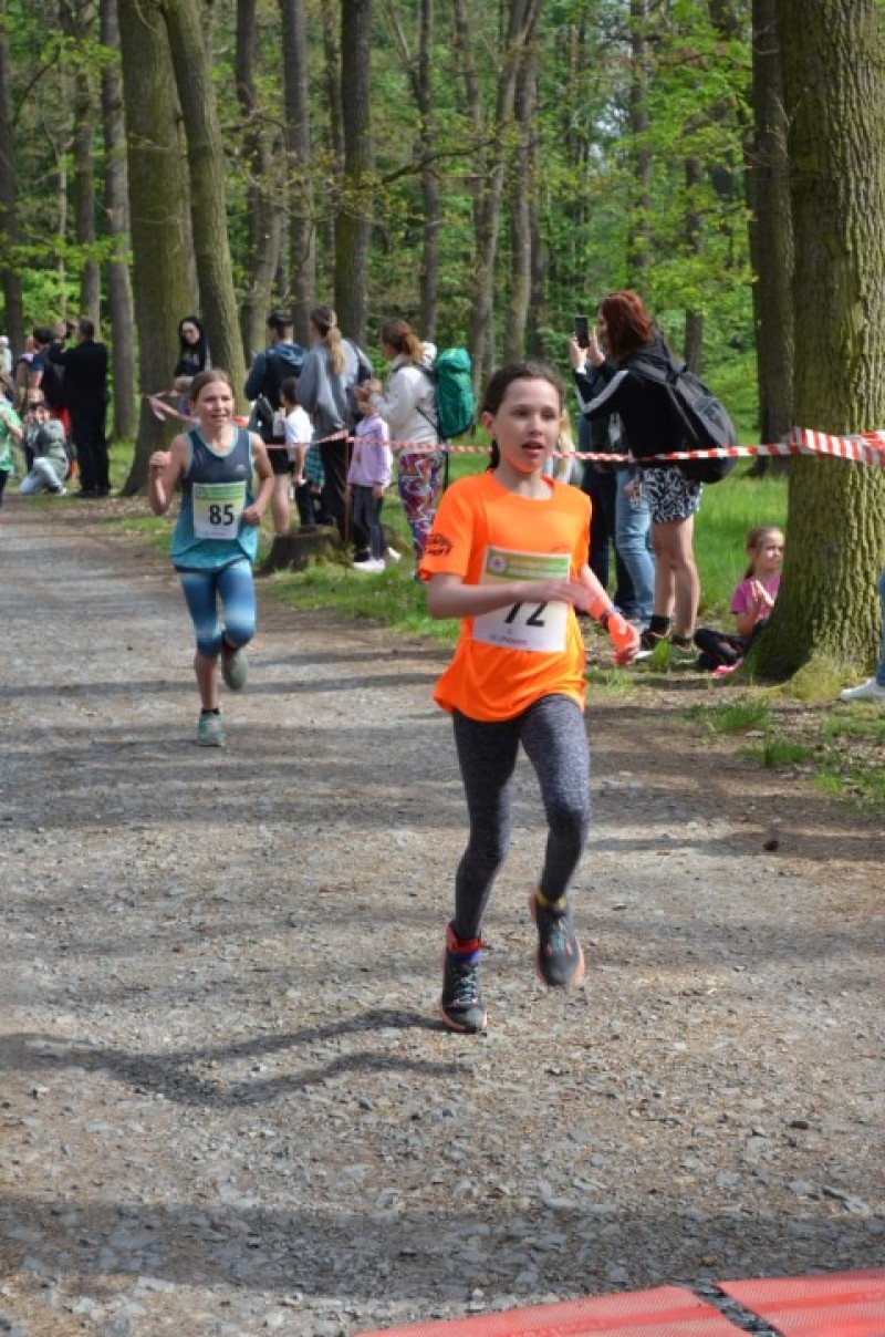 Fotografie DSC_0670.JPG v galerii Běh za Újezdskou Sovou - 2. část