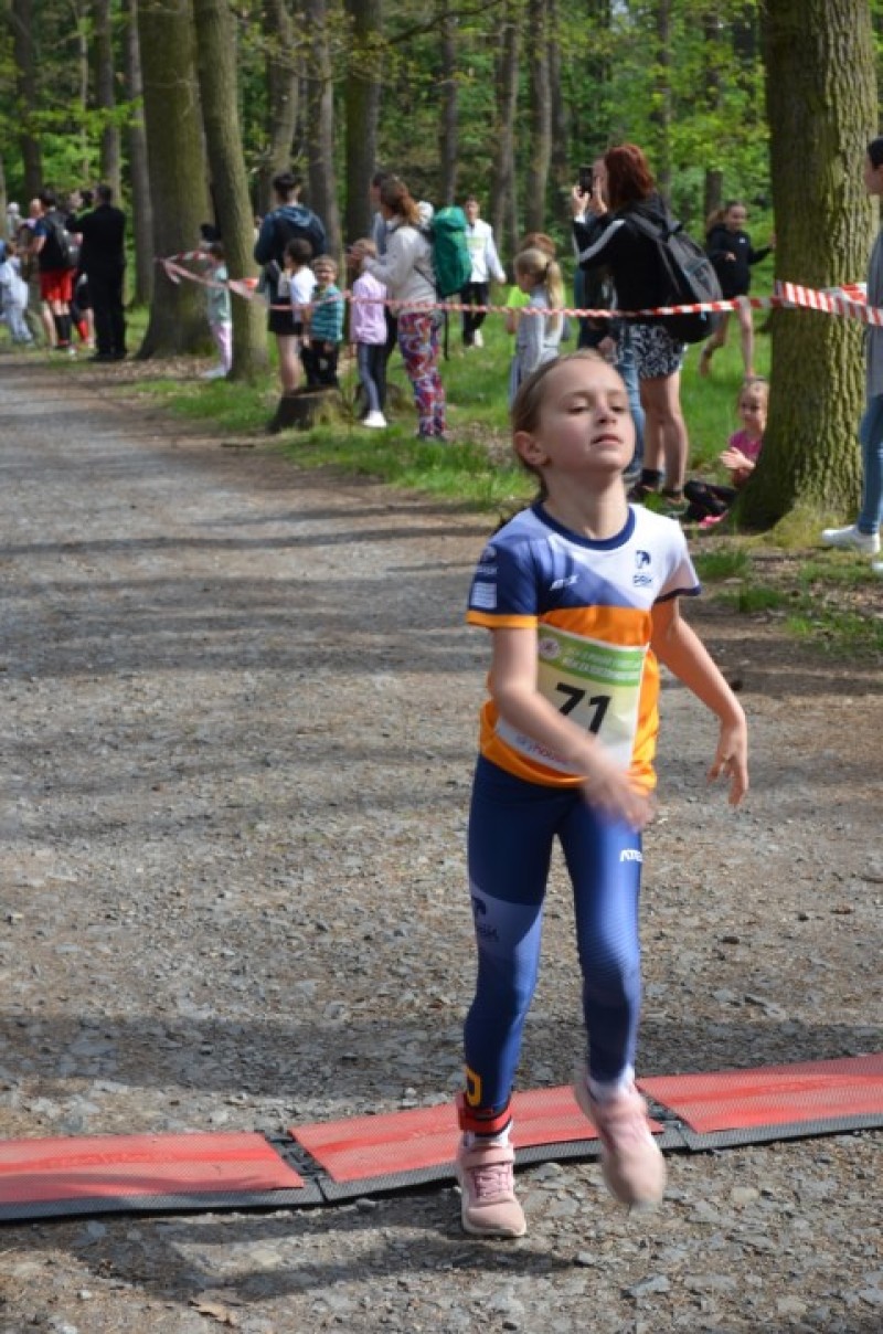 Fotografie DSC_0674.JPG v galerii Běh za Újezdskou Sovou - 2. část