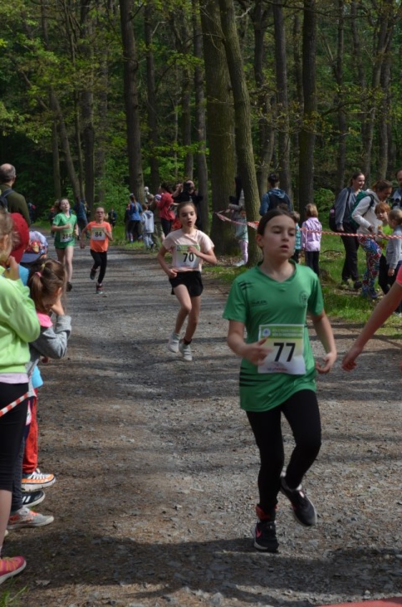 Fotografie DSC_0680.JPG v galerii Běh za Újezdskou Sovou - 2. část