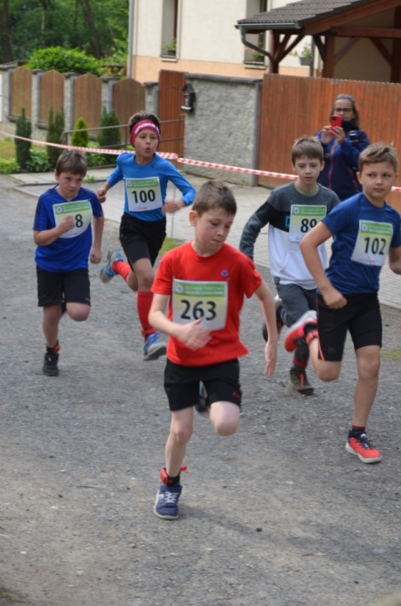 Fotografie DSC_0701.JPG v galerii Běh za Újezdskou Sovou - 2. část