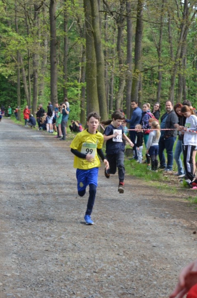 Fotografie DSC_0724.JPG v galerii Běh za Újezdskou Sovou - 2. část