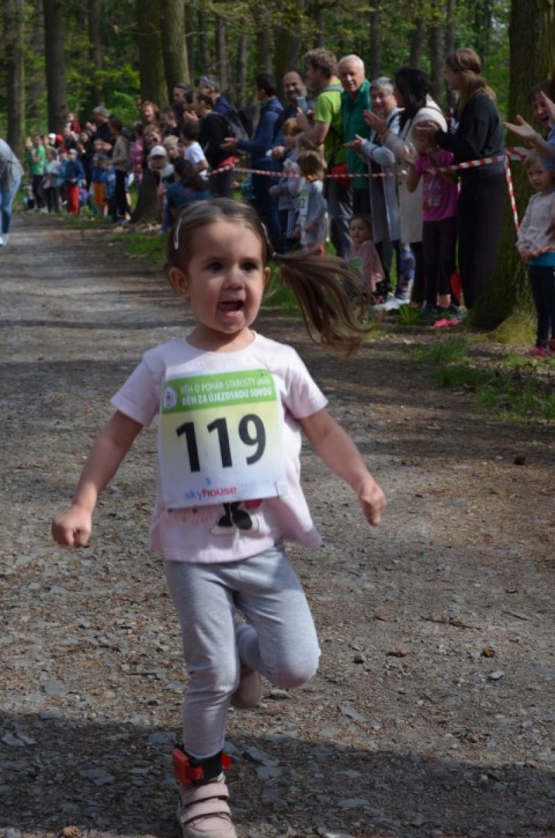 Fotografie DSC_0735.JPG v galerii Běh za Újezdskou Sovou - 2. část