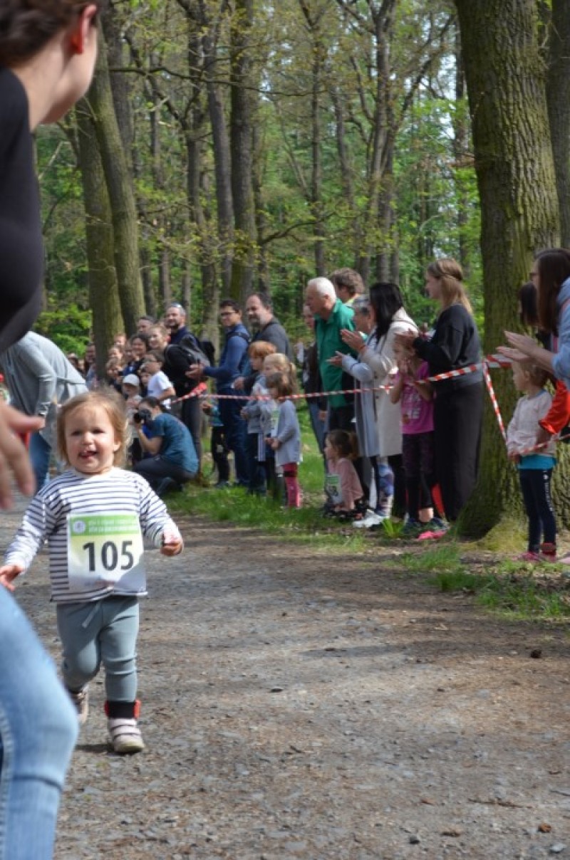 Fotografie DSC_0737.JPG v galerii Běh za Újezdskou Sovou - 2. část