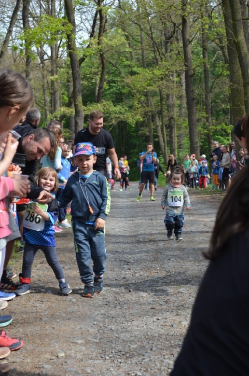 Fotografie DSC_0740.JPG v galerii Běh za Újezdskou Sovou - 2. část