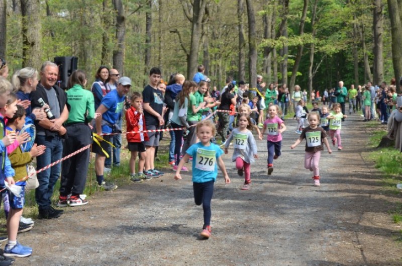 Fotografie DSC_0777.JPG v galerii Běh za Újezdskou Sovou - 2. část