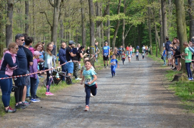 Fotografie DSC_0796.JPG v galerii Běh za Újezdskou Sovou - 2. část