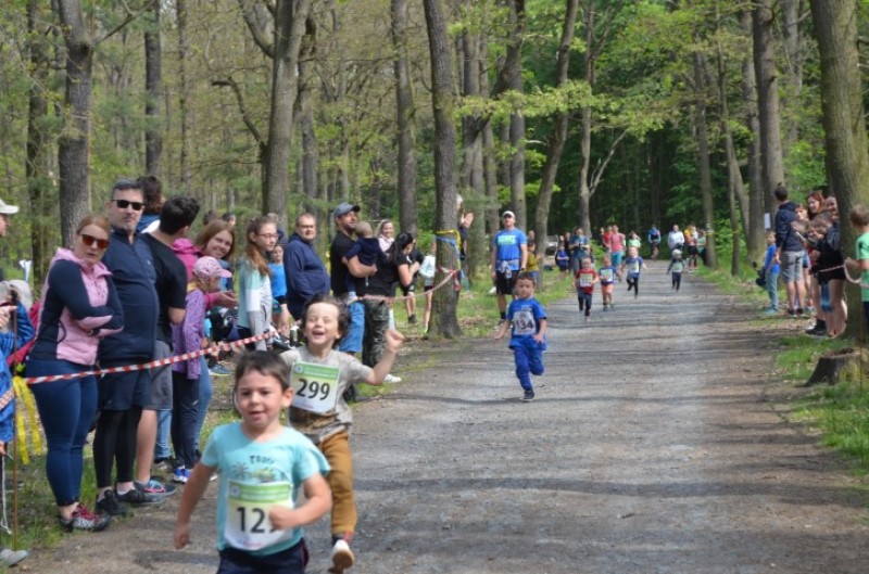 Fotografie DSC_0797.JPG v galerii Běh za Újezdskou Sovou - 2. část