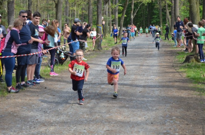 Fotografie DSC_0799.JPG v galerii Běh za Újezdskou Sovou - 2. část