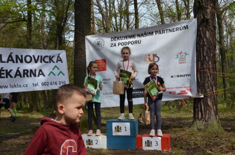 Fotografie DSC_0827.JPG v galerii Běh za Újezdskou Sovou - 2. část