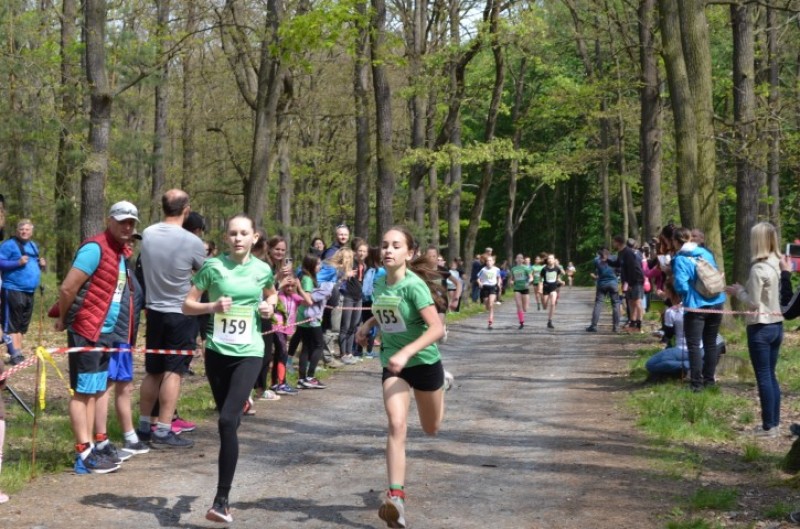 Fotografie DSC_0850.JPG v galerii Běh za Újezdskou Sovou - 2. část