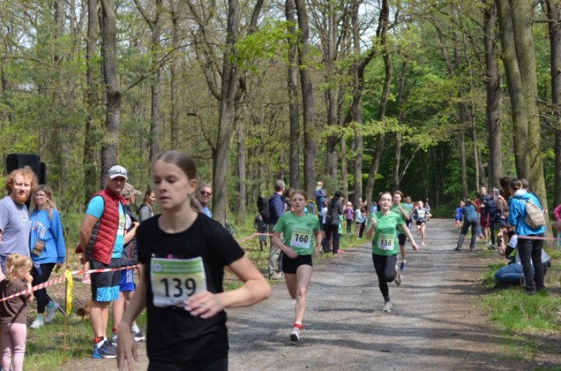 Fotografie DSC_0860.JPG v galerii Běh za Újezdskou Sovou - 2. část