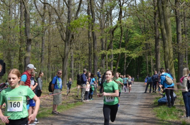 Fotografie DSC_0861.JPG v galerii Běh za Újezdskou Sovou - 2. část