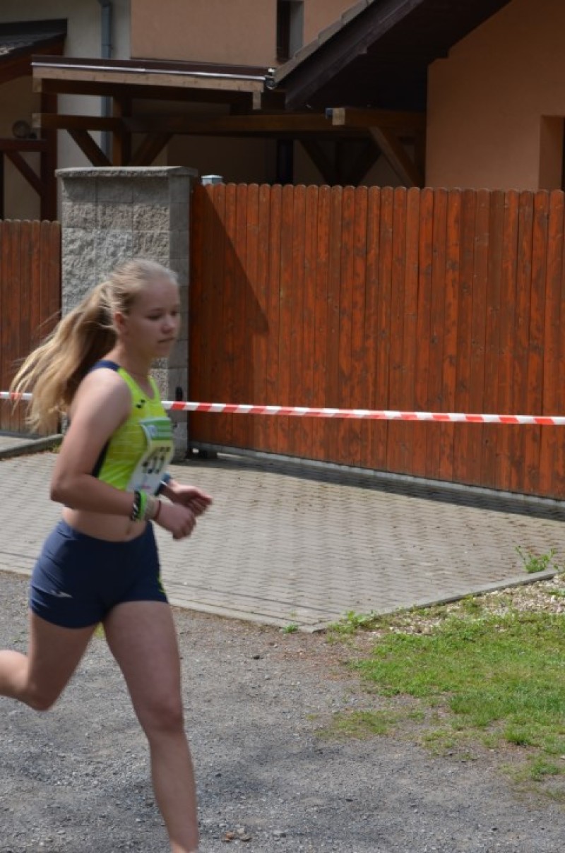 Fotografie DSC_0913.JPG v galerii Běh za Újezdskou Sovou - 2. část