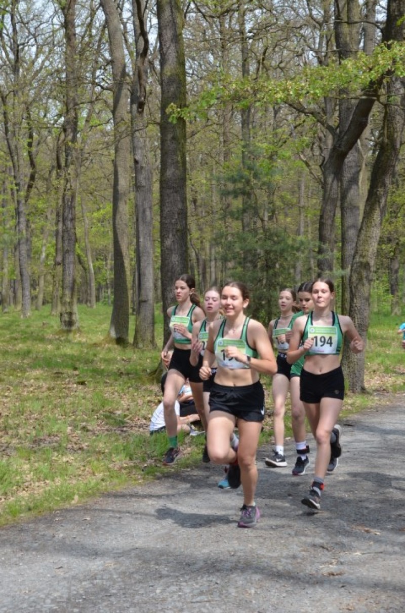 Fotografie DSC_0924.JPG v galerii Běh za Újezdskou Sovou - 2. část