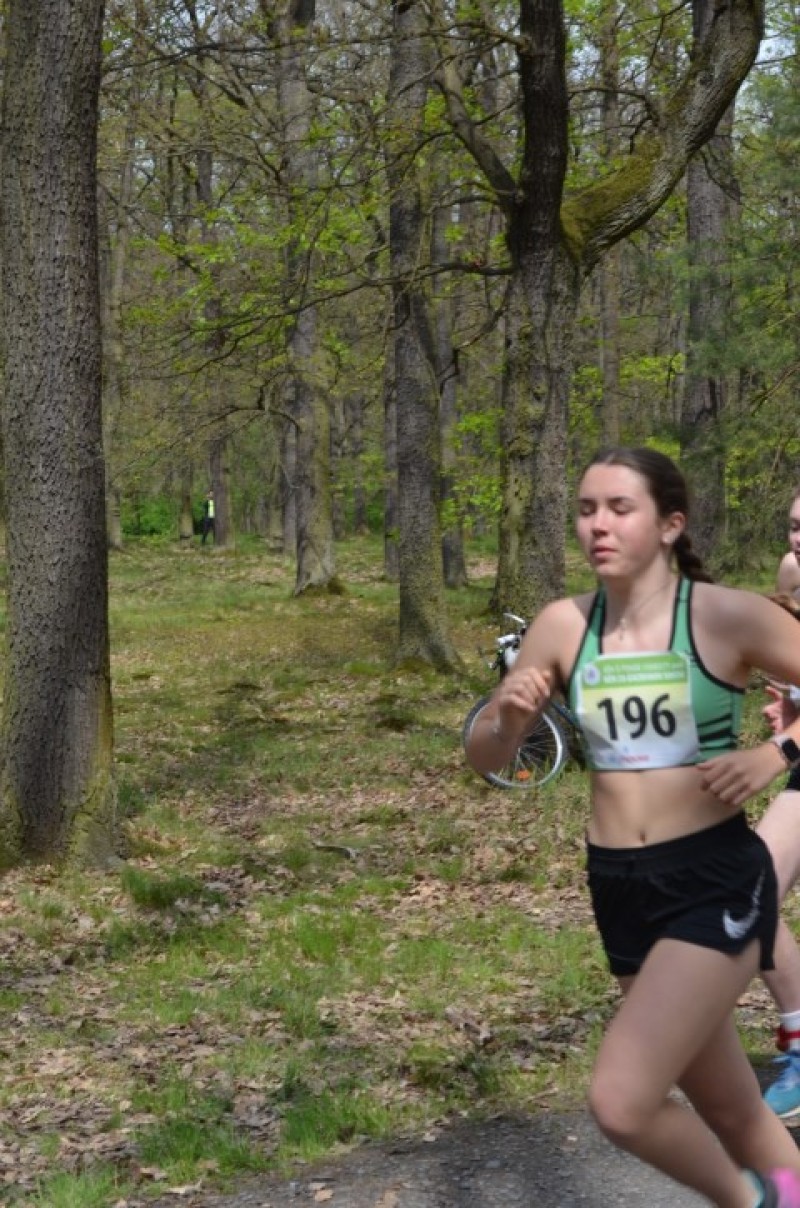 Fotografie DSC_0925.JPG v galerii Běh za Újezdskou Sovou - 2. část