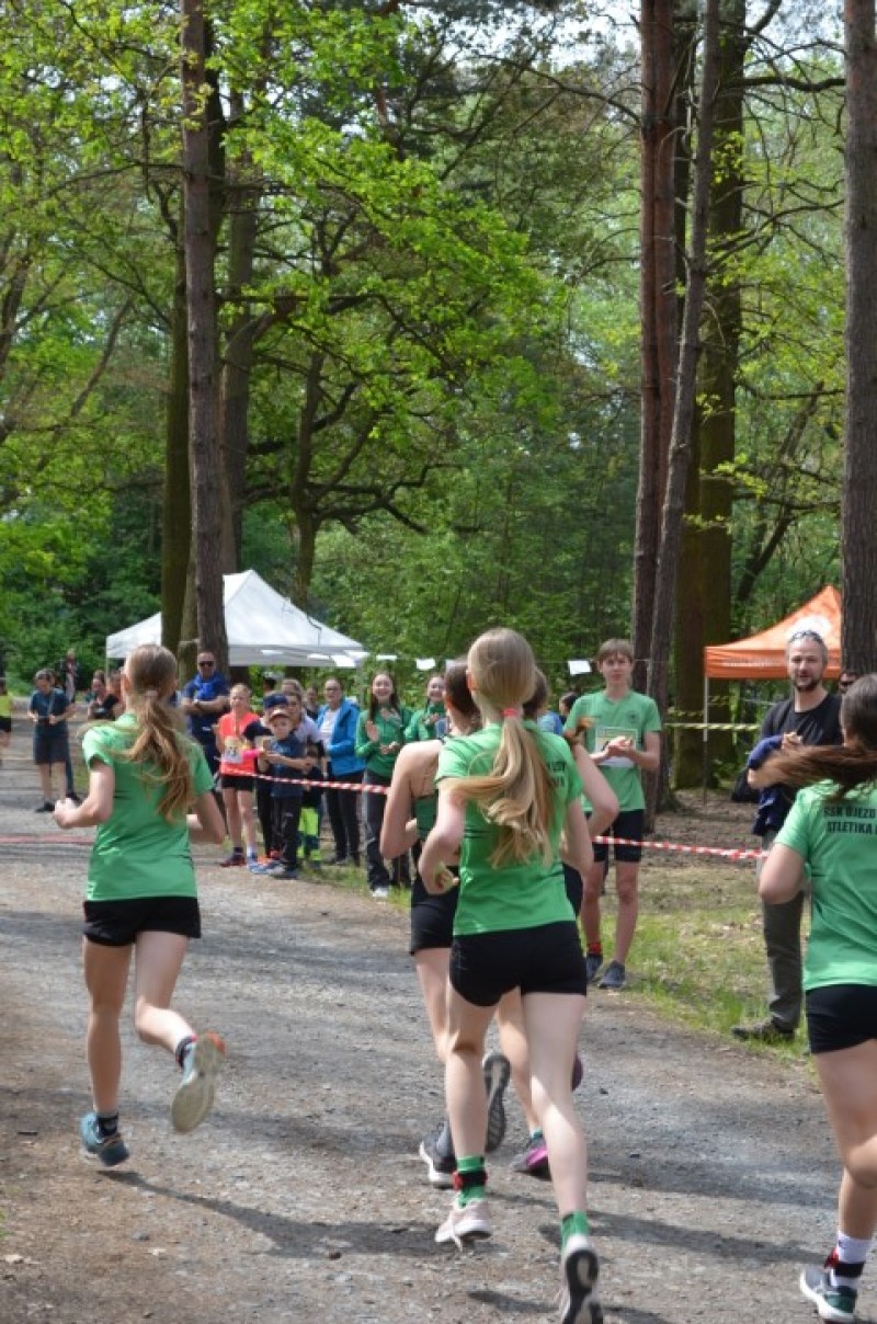 Fotografie DSC_0927.JPG v galerii Běh za Újezdskou Sovou - 2. část