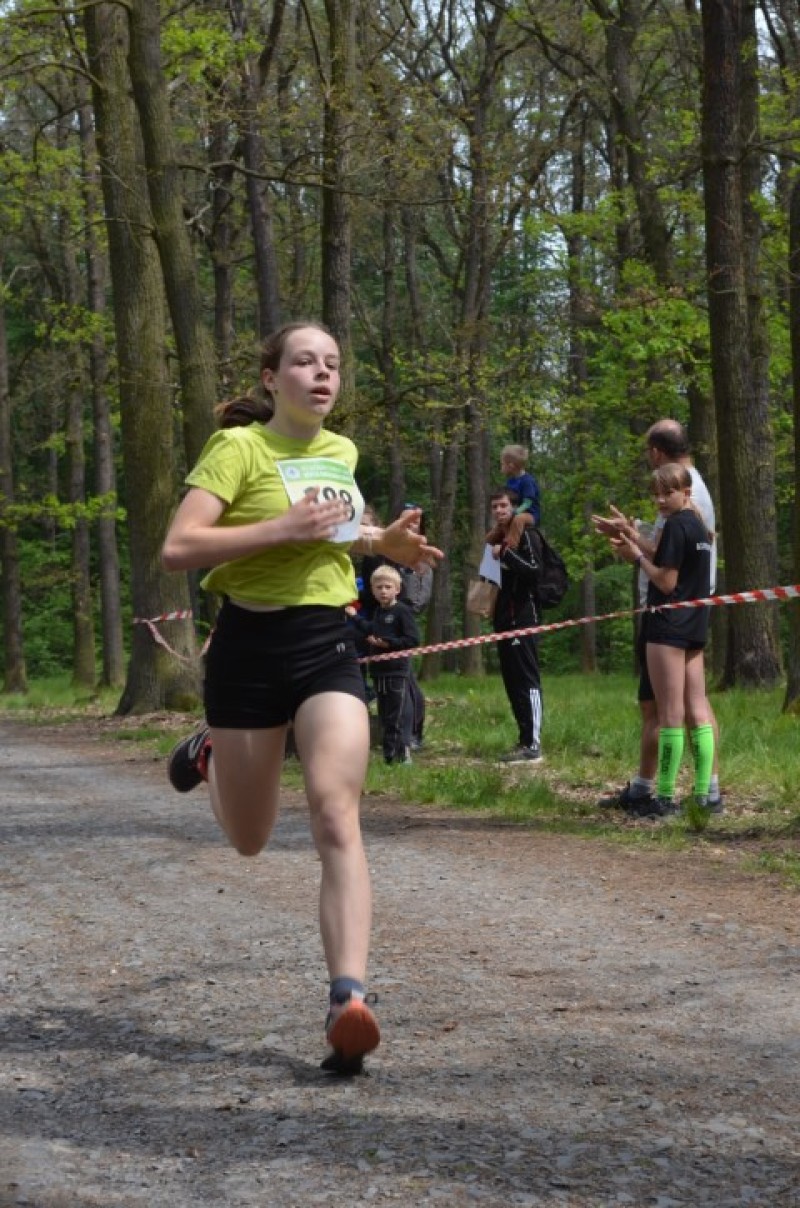 Fotografie DSC_0943.JPG v galerii Běh za Újezdskou Sovou - 2. část