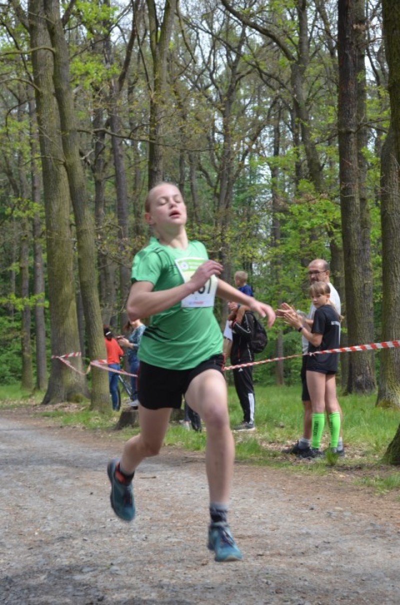 Fotografie DSC_0946.JPG v galerii Běh za Újezdskou Sovou - 2. část