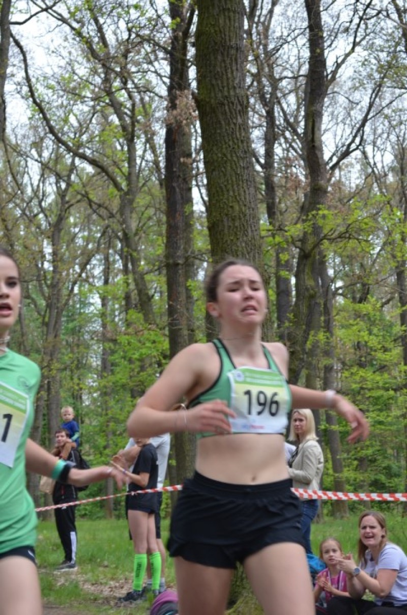 Fotografie DSC_0954.JPG v galerii Běh za Újezdskou Sovou - 2. část