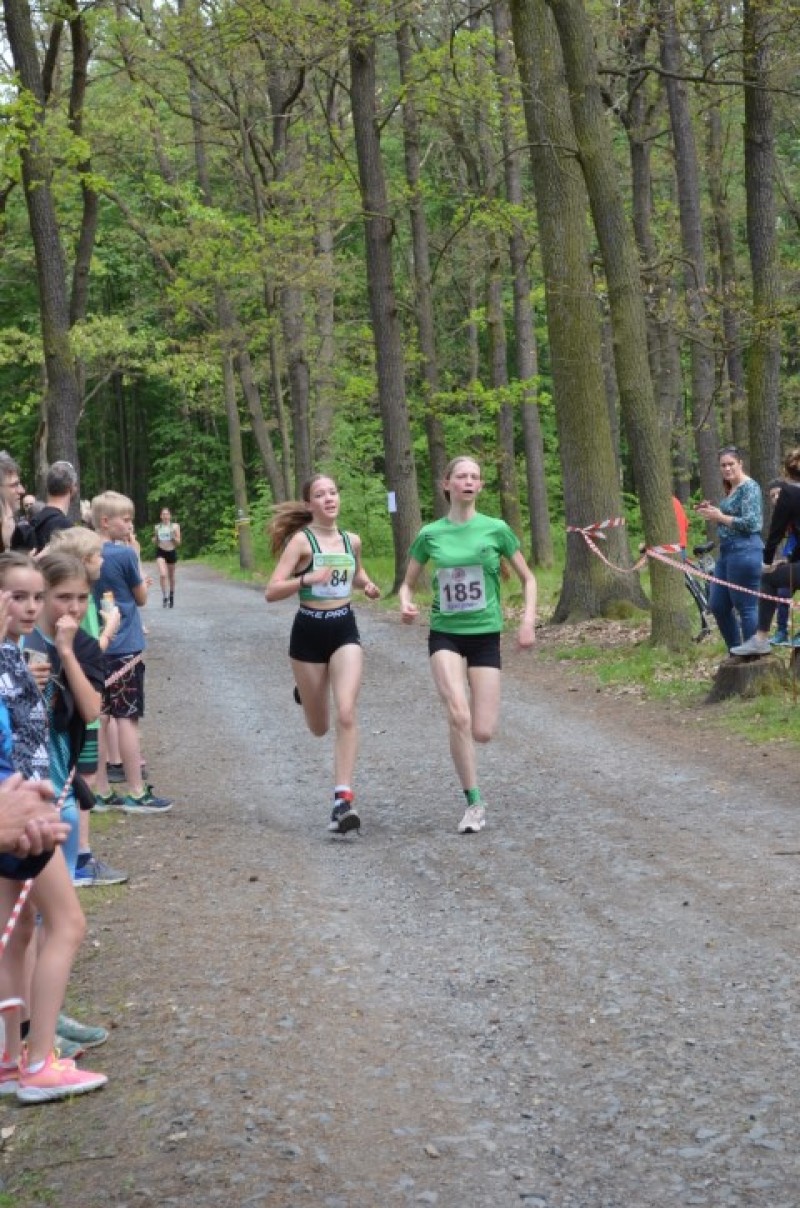 Fotografie DSC_0956.JPG v galerii Běh za Újezdskou Sovou - 2. část