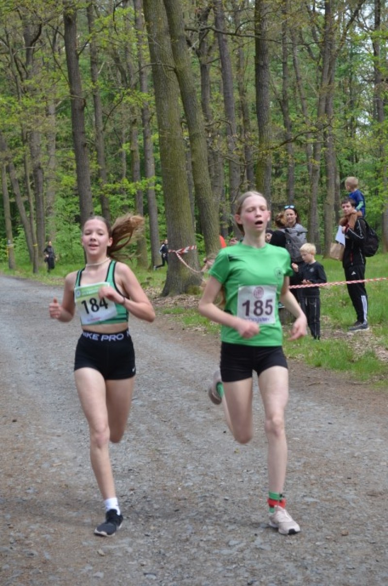 Fotografie DSC_0957.JPG v galerii Běh za Újezdskou Sovou - 2. část