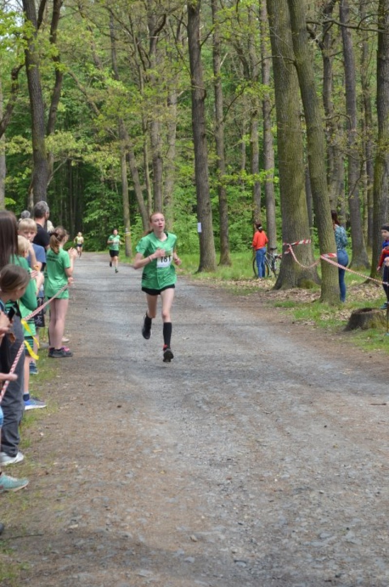 Fotografie DSC_0968.JPG v galerii Běh za Újezdskou Sovou - 2. část