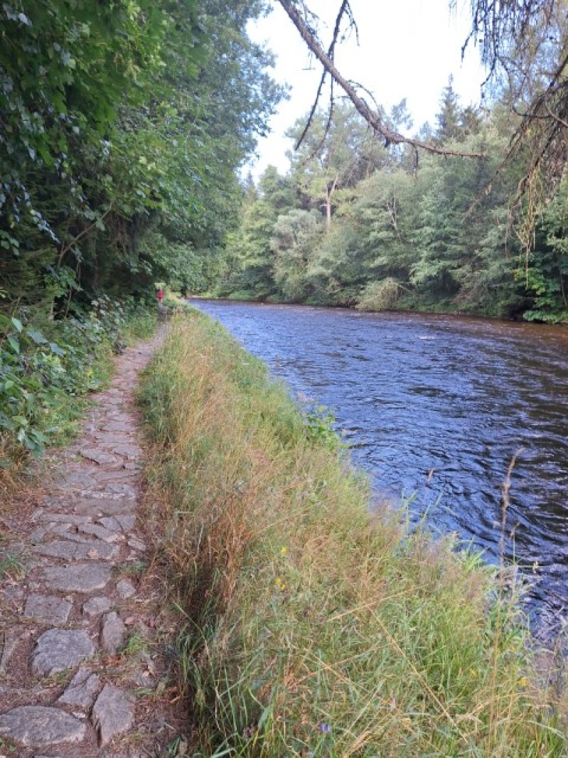 Fotografie 20240727_172230.jpg v galerii Soustředění Sušice I.