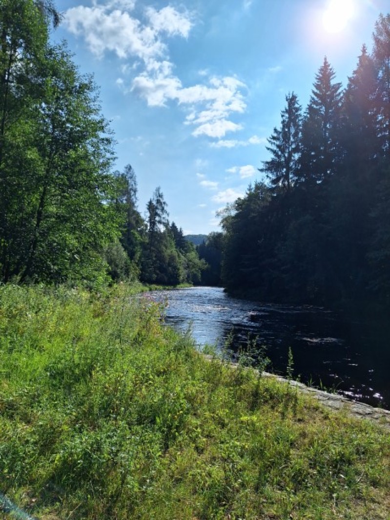 Fotografie 20240729_092102.jpg v galerii Soustředění Sušice I.