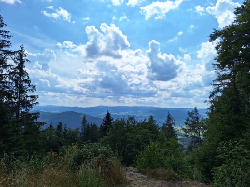 Fotografie 20240801_151312.jpg v galerii Soustředění Sušice I.