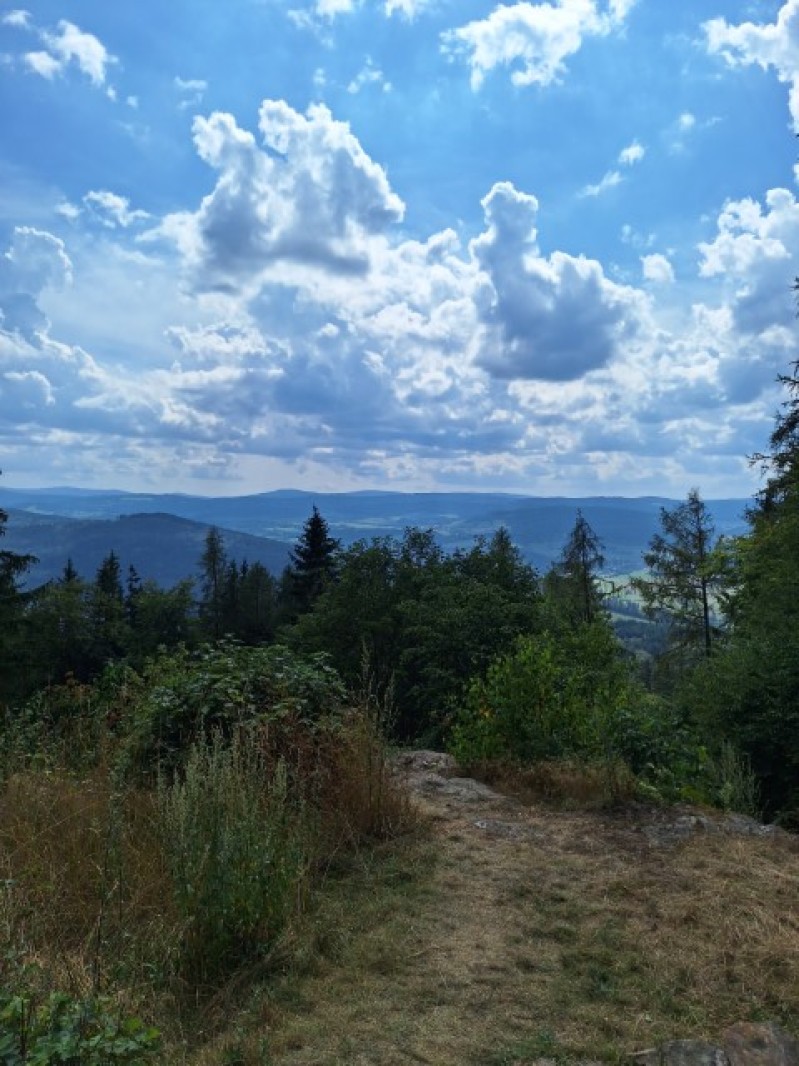 Fotografie 20240801_151332.jpg v galerii Soustředění Sušice I.