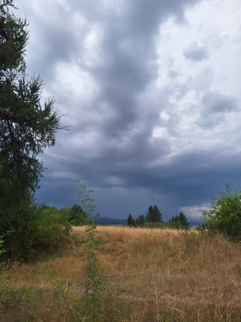 Fotografie 20240801_174954.jpg v galerii Soustředění Sušice I.