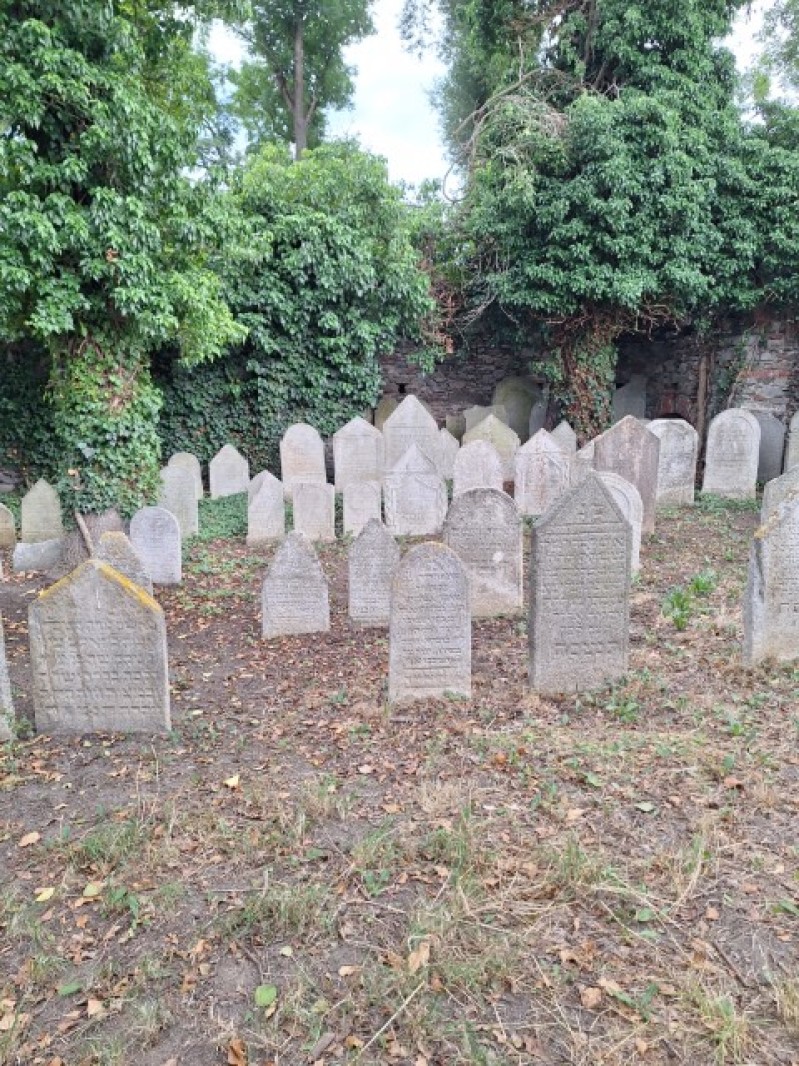 Fotografie 20240801_180618.jpg v galerii Soustředění Sušice I.