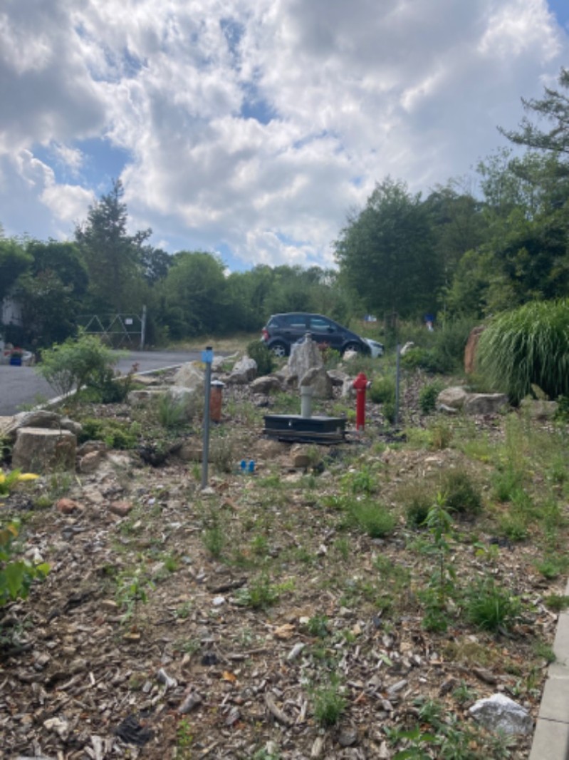 Fotografie IMG_8167.jpeg v galerii Soustředění Sušice II.