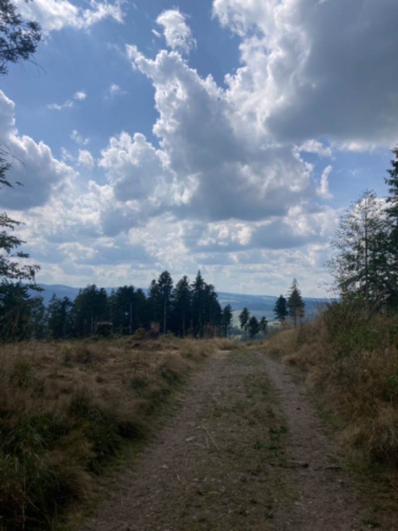 Fotografie IMG_8173 (1).jpeg v galerii Soustředění Sušice II.